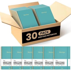 image:imageMeeting Notebook for Work Organization  Work Planner Notebook with Action Items Agenda Planner for Note Taking 160 Pages 69 X 99 Project Organizer for Men amp Women  Pinka Blue