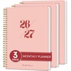 B-3Pink